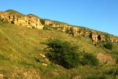 Cleeve Cloud